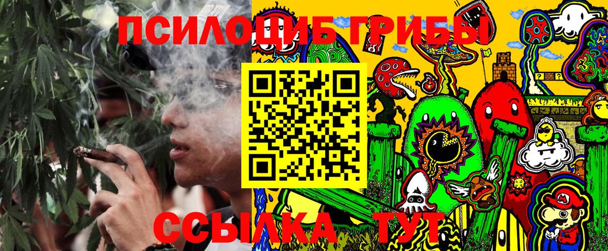 Галлюциногенные грибы прущие грибы  Вход с VPN  Дубна 