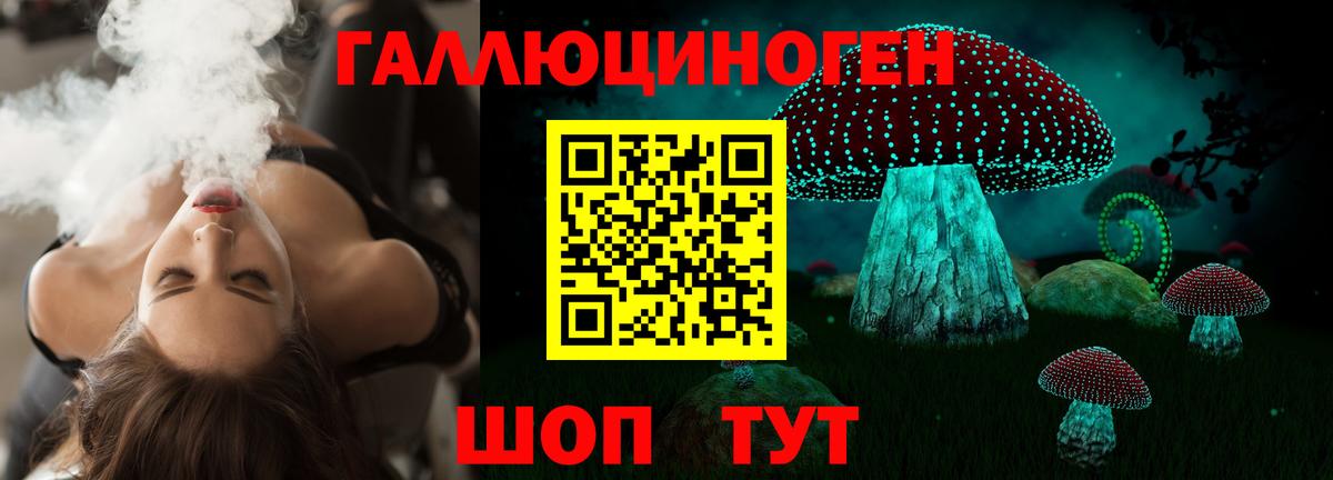 Галлюциногенные грибы Cubensis Дубна